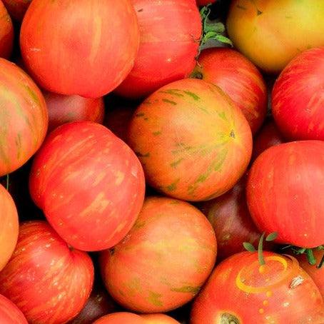 Pack of high quality heirloom organic Tomato Tigerella seeds for unique, decorative tomatoes