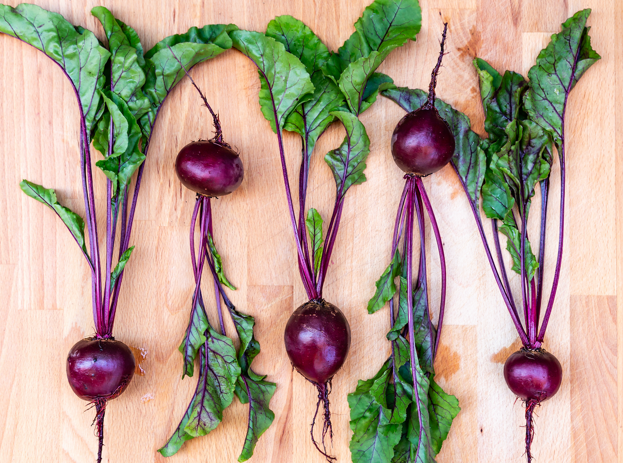 Crosby's Egyptian beet from SeedsNow showing fresh, vibrant red beets with green leafy tops on a white background.