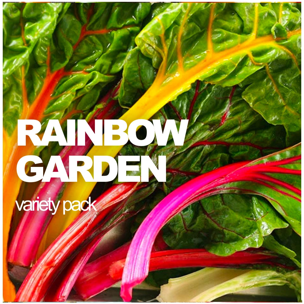 All-in-One Rainbow Garden Variety Pack with colorful vegetable and flower seeds from SeedsNow-SeedBanks, arranged in a clear container.