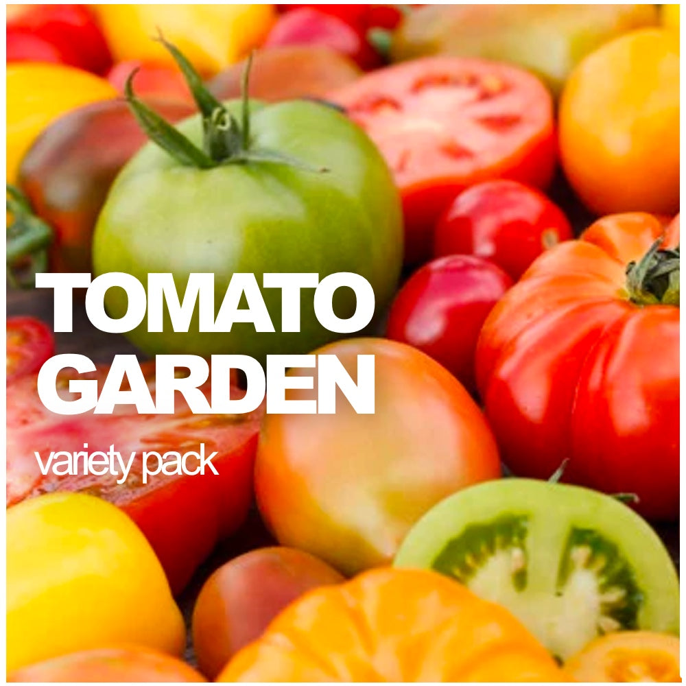Assortment of All-in-One Tomato variety packs with 15 popular types of tomato seeds in resealable zip-lock bags