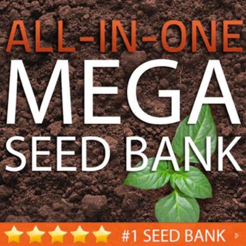 Mega Seed Bank for Survival | Large Seed Storage Vault for Emergency