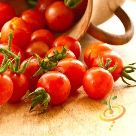 Small Red Cherry Tomato seeds | Indeterminate, Bursting with Flavor