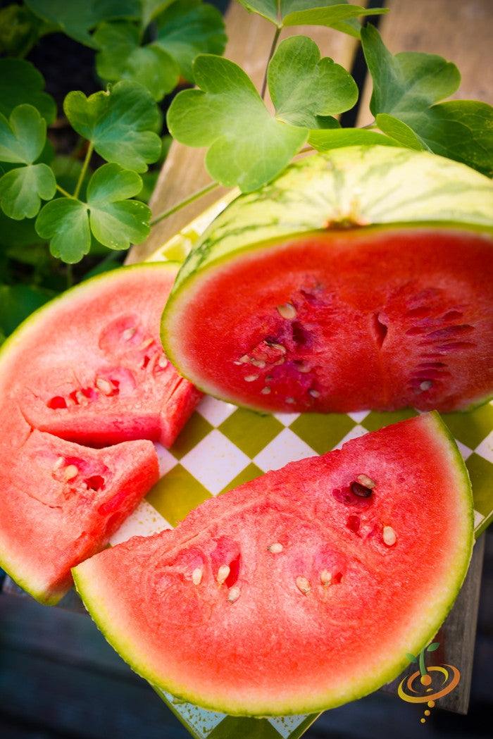 Sliced heirloom Sugarbaby watermelon with bright red flesh and seeds on green and white checkered surface.