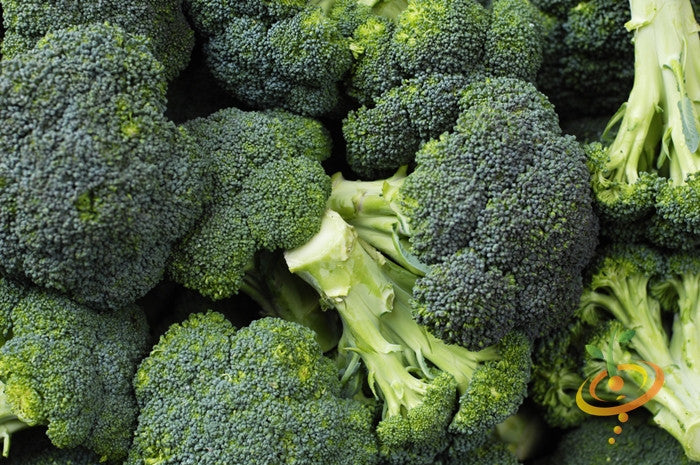 Fresh green Calabrese broccoli seeds from SeedsNow, displayed on a white background, ready for planting.