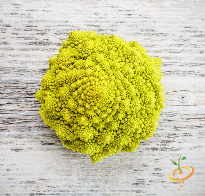 Romanesco broccoli seeds from SeedsNow, close-up of vibrant green, fractal-patterned Romanesco broccoli seed packet.