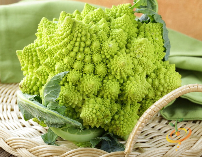 Romanesco broccoli seeds from SeedsNow, showing vibrant green, spiral-shaped florets ready for planting.