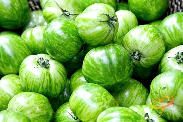 Green striped Zebra tomato seedling from SeedsNow, showing its vibrant green and white striped semi-determinate tomato plant.