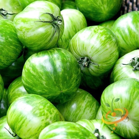 Tomato Green Striped Zebra Seeds | Heat Tolerant, High Yielding Tomato