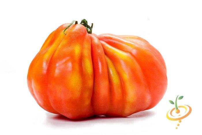 Rind of ripe Pineapple tomato with orange and yellow marbling on white background