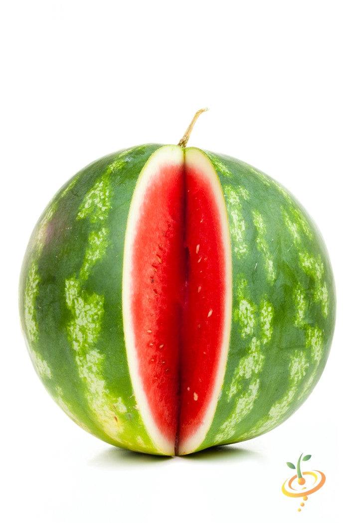 Sugarbaby watermelon cut in half showing red interior and green rind on white background