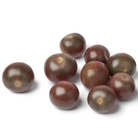 Cherry Chocolate Tomato indeterminate seeds from SeedsNow, showing vibrant young cherry tomato plants with dark red fruit.