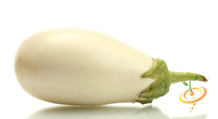 White heirloom eggplant with green stem on white background