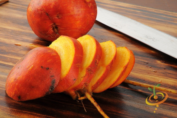 Sliced round orange Detroit golden beet roots on wooden surface with knife and whole beet in background