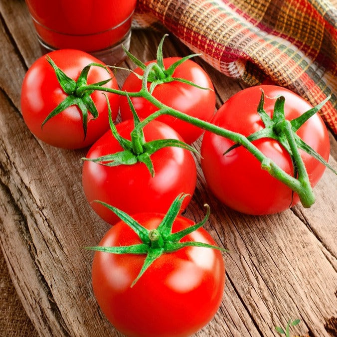 Bonny Best Tomato Seeds | Indeterminate, Heirloom, Ideal for Canning