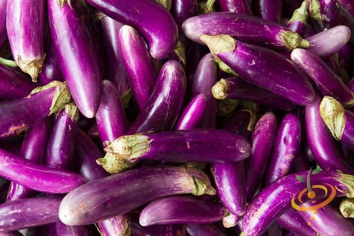 Long purple Italian eggplant (aubergine) seedling from SeedsNow, showing vibrant, elongated eggplant with glossy purple skin.