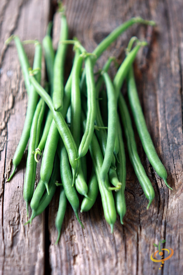 Fresh Kentucky Wonder Brown seeds pole beans on rustic wooden surface