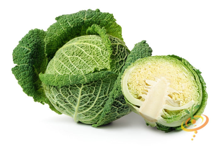 Savoy Perfection cabbage with finely-wrinkled leaves and a half cut showing interior texture