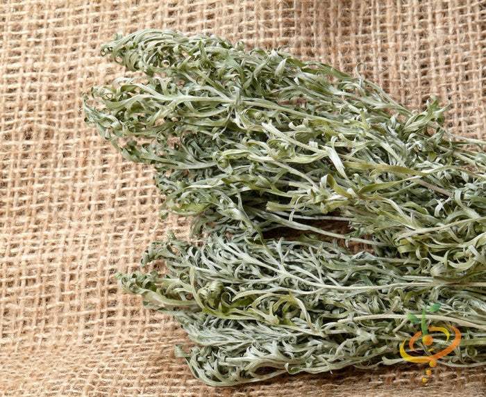 Close-up of dried wormwood herb leaves on burlap background for herbal use and gardening