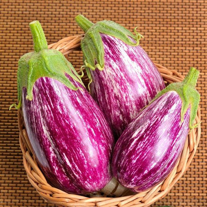 Basket of three Pandora striped eggplants with rose-colored white stripes on a woven mat background