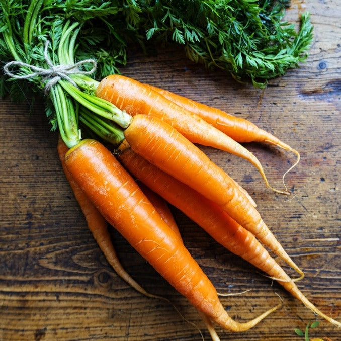 Danvers carrot seeds from SeedsNow, 7-inch long variety, shown in an image with fresh carrot roots and green tops.