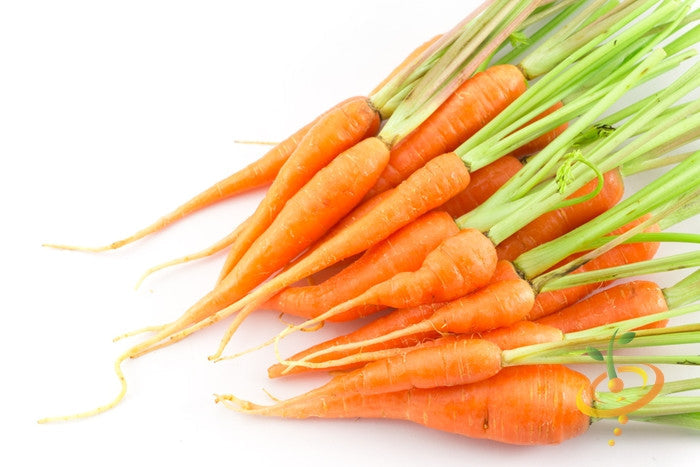 Fresh orange Little Fingers carrot seeds from SeedsNow, 4-inch long, ideal for home gardening and healthy vegetable growth.