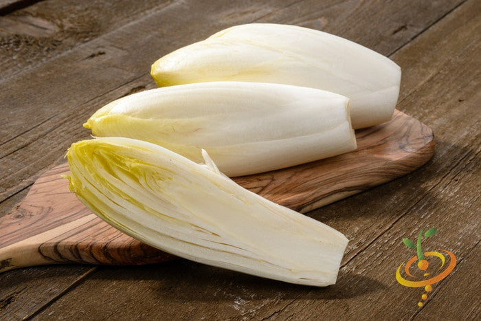 Chicory Witloof white crisp salad leaves on wooden board