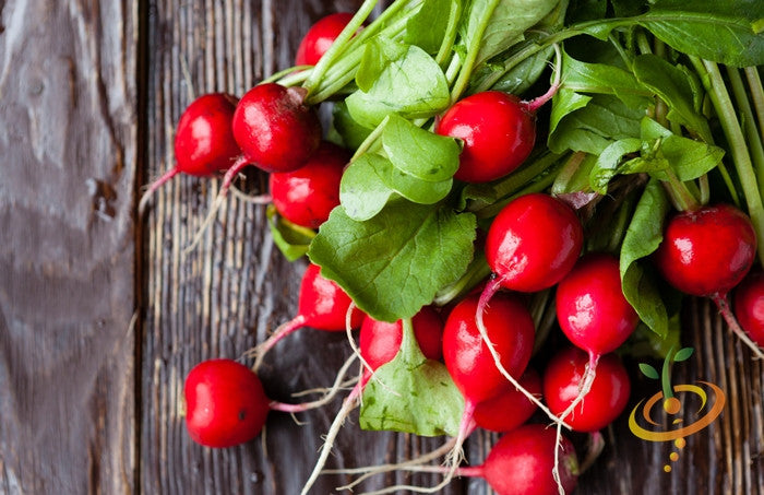 Fresh bright red cherry radishes with green leaves on a wooden surface, Radish - Champion seeds variety