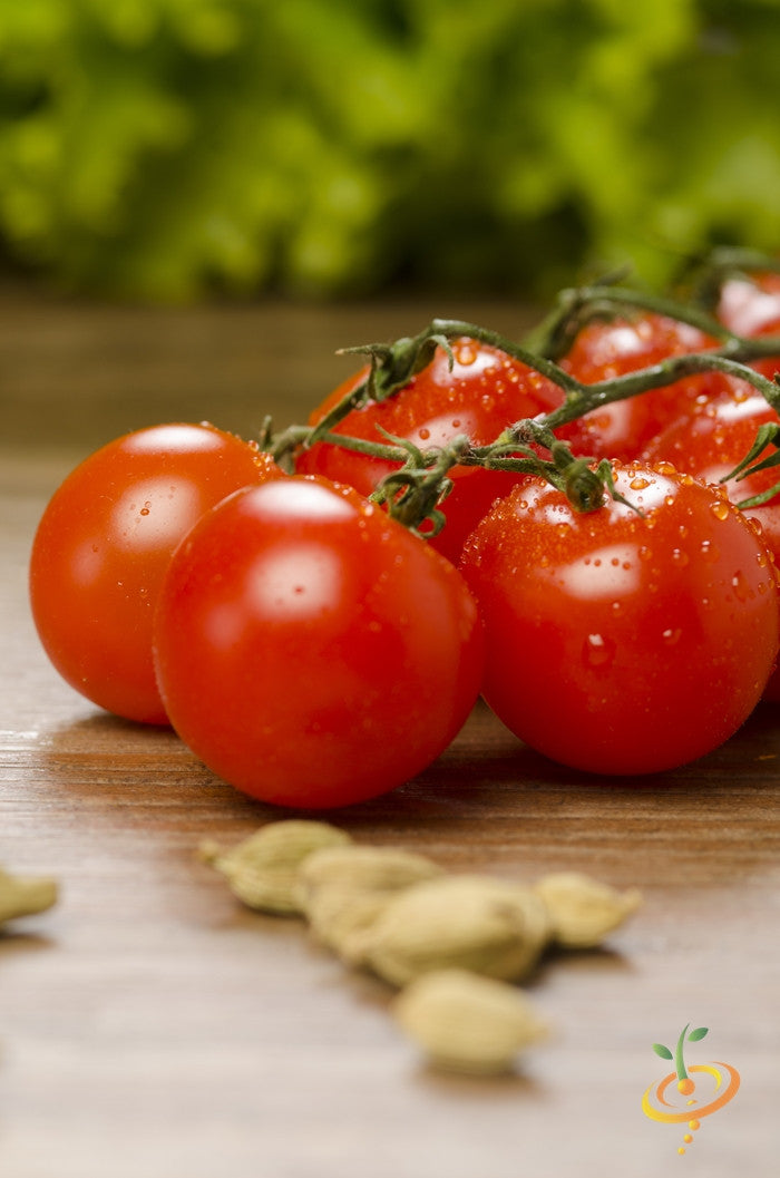 Fresh red cherry tomatoes on the vine with blurred greenery background for seed starter kit promotion