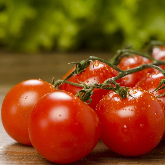 Large Red Cherry Tomato Seeds | Sweet, Prolific Indeterminate Vines