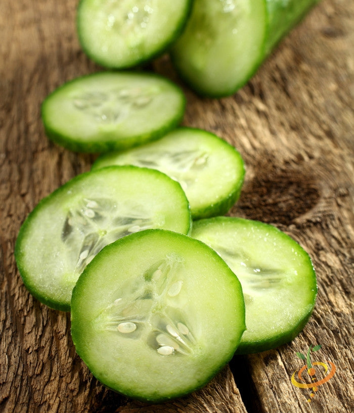 Fresh green cucumber from Ashley Seeds by SeedsNow, showing smooth skin and elongated shape on a white background.