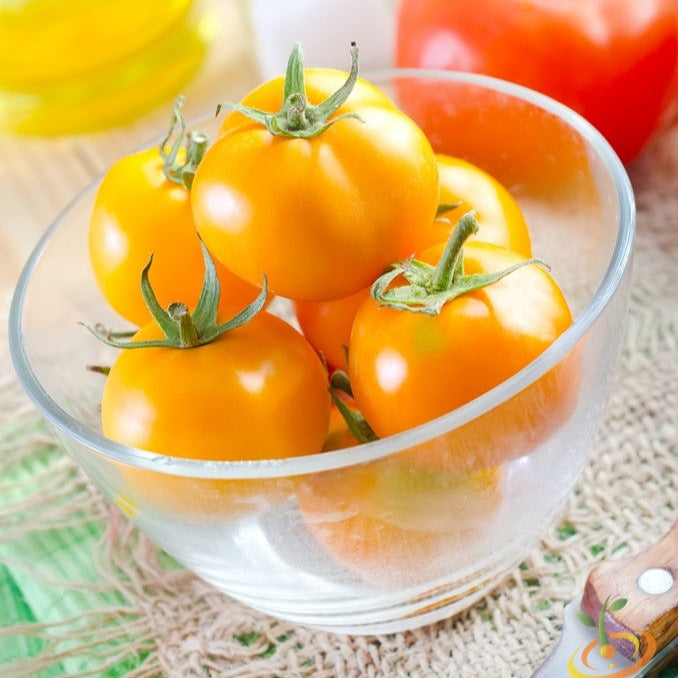 Tomato Jubilee Seeds | Indeterminate Sunny Gold Tomato for High Yields