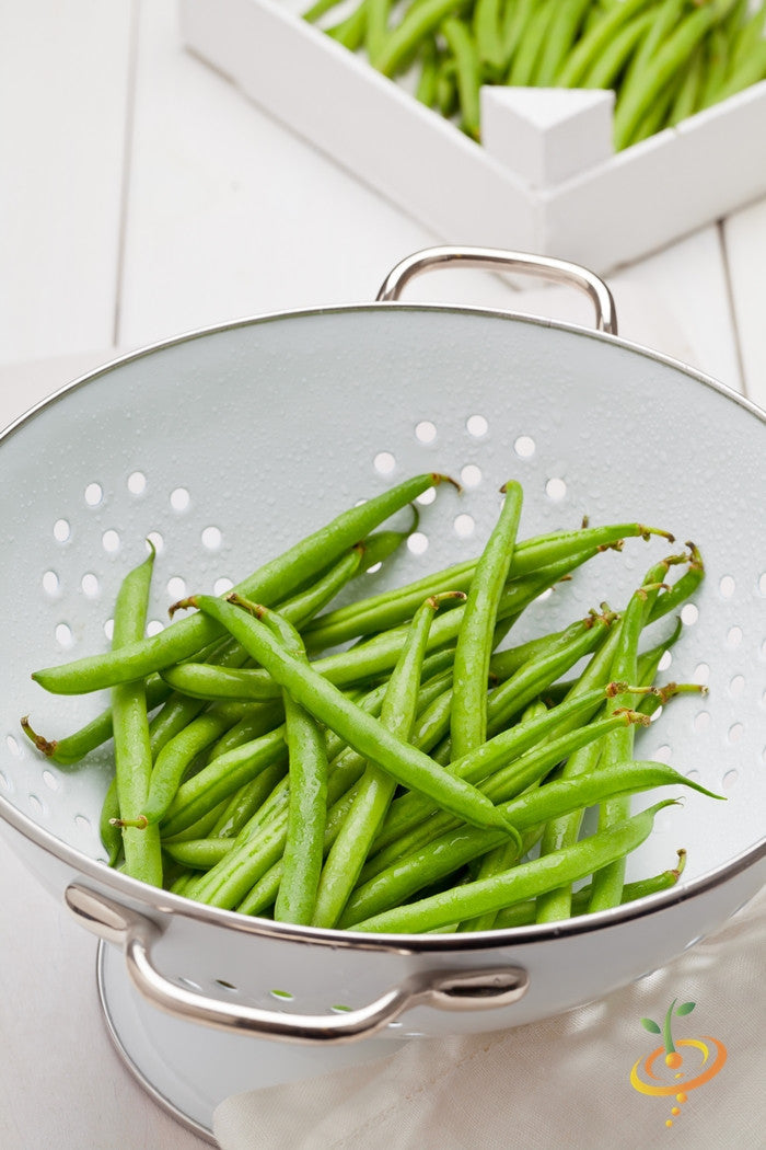 Kentucky Wonder white pole bean seeds from SeedsNow, showing healthy seed packets for planting pole and runner beans.