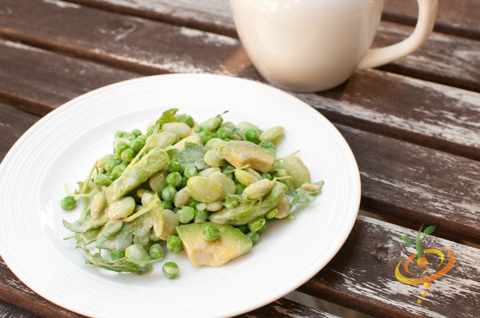 Lima bean plant with green beans growing on bush, Thorogreen seeds variety, healthy foliage, ready for harvest.