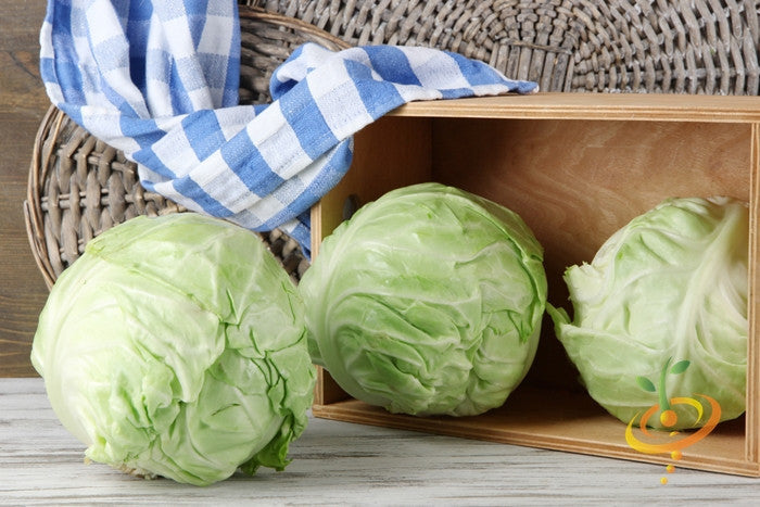 Golden Acre cabbage seeds from SeedsNow, showing vibrant green cabbage heads with lush leaves.