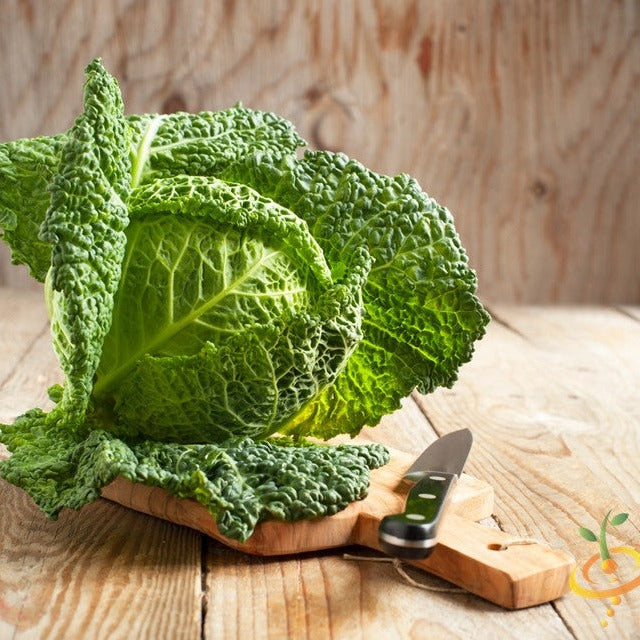 Fresh Savoy Perfection cabbage with textured leaves on wooden cutting board and knife