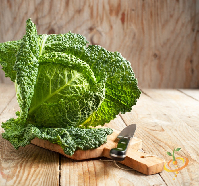 Savoy Perfection cabbage with crinkled leaves on wooden board and knife