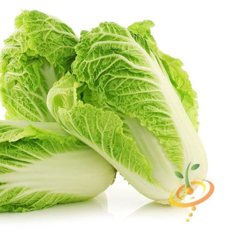 Michihili cabbage seeds to order online in the USA. Chinese variety, stir-fry, or pickling. Open-pollinated USA-quality Heirloom NON-GMO organic garden seeds & more!