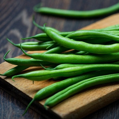 Landreth Bush Bean seeds for sale in the USA! Heat-tolerant heirloom. Shop for USA-quality heirloom organic non-GMO seeds to plant in your organic vegetable garden!