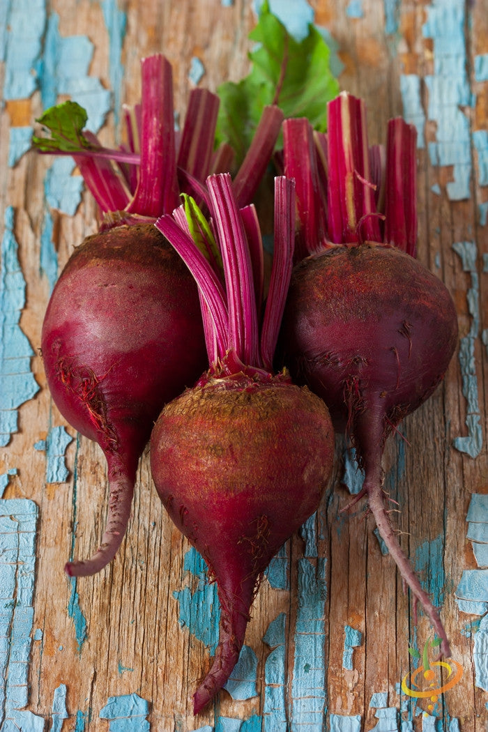 Early Wonder beet seeds from SeedsNow, showcasing vibrant green and deep red beetroot seedlings ready for planting.