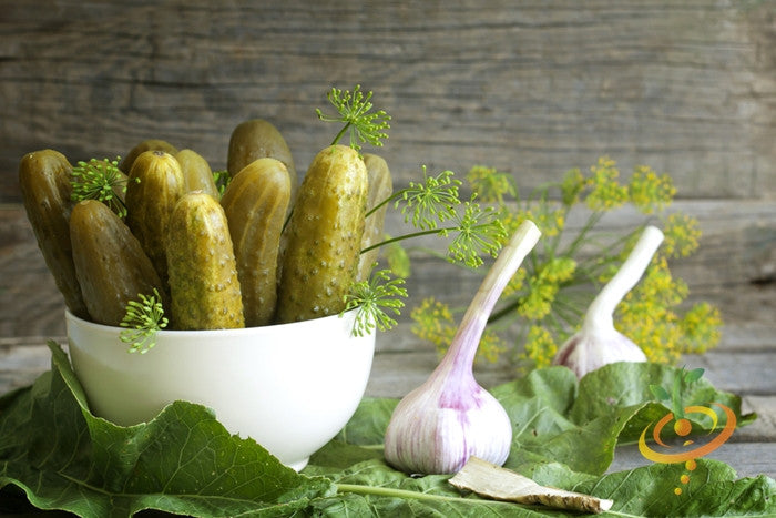 Bowl of homemade pickles with dill and garlic on rustic wooden table