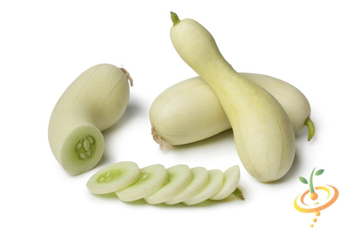 White Wonder seeds cucumbers with pale skin and sliced cross section on white background