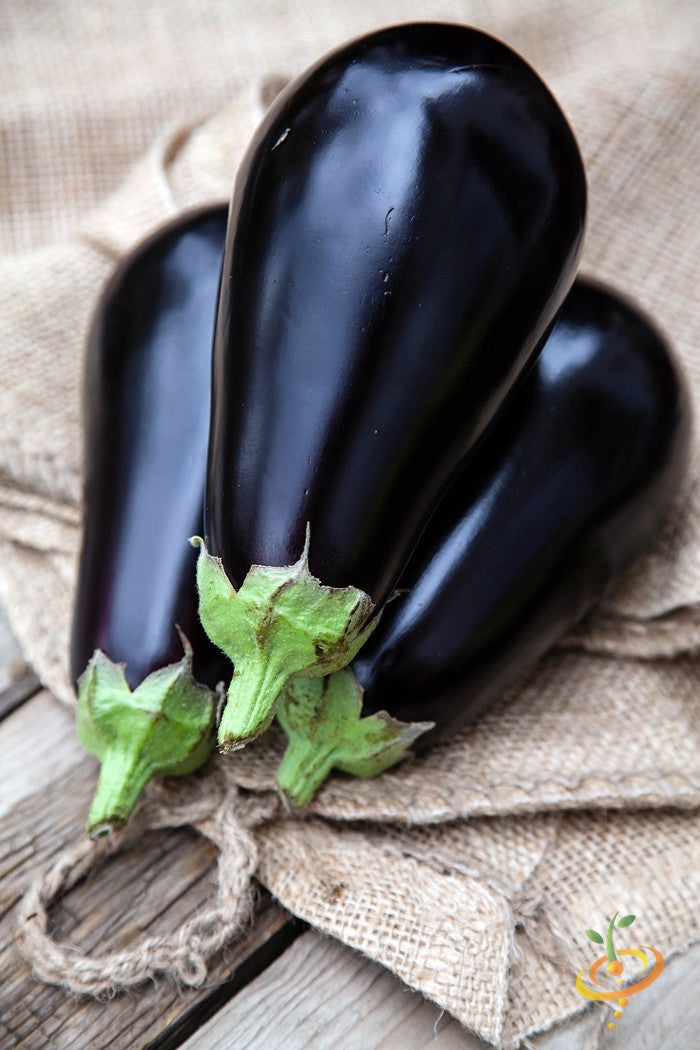 Blackbeauty eggplant (aubergine) seed packet from SeedsNow showing vibrant purple eggplant illustrations and seed details.