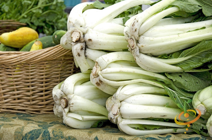 Fresh Chinese bok choy cabbage seeds by SeedsNow, showing vibrant green leaves and compact head ready for planting.