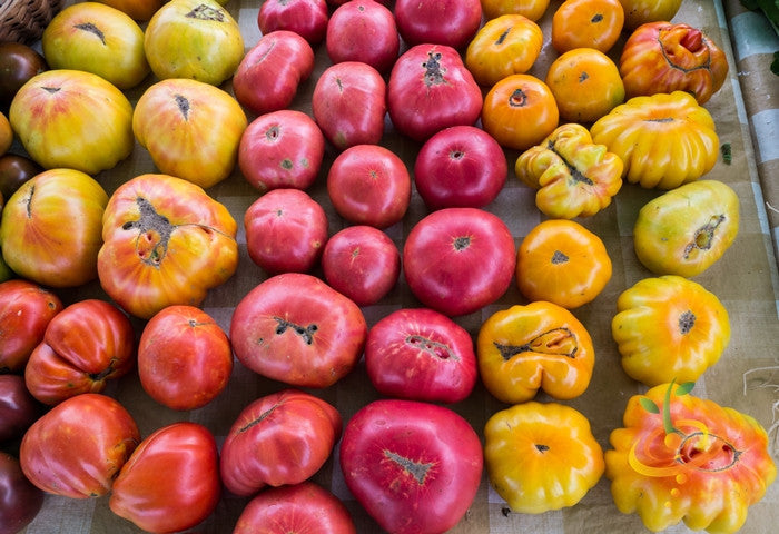 Organic Cherokee Purple indeterminate tomato seeds from SeedsNow, showing vibrant purple heirloom tomato seeds in a clear package.