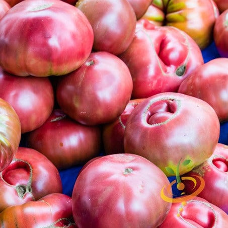Cherokee Purple Tomato Seeds | Indeterminate, Low Acidity, Sweet Flavor