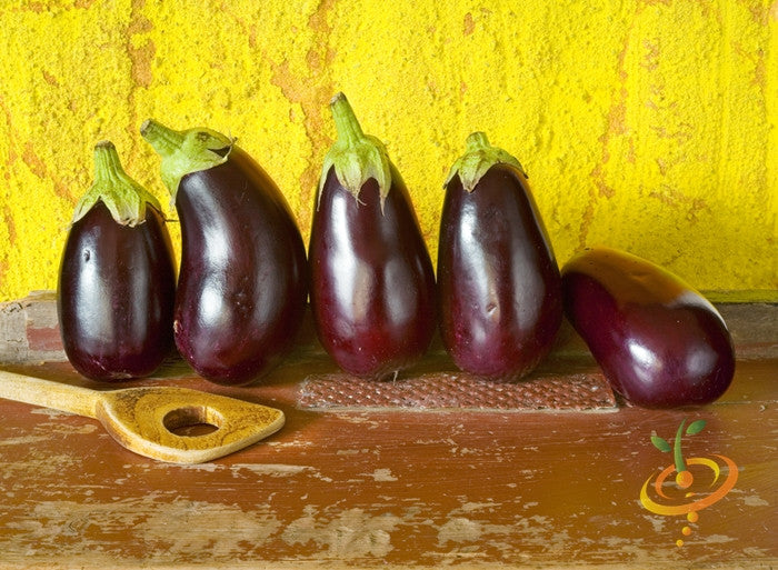Blackbeauty eggplant (aubergine) seed packet from SeedsNow, featuring vibrant purple eggplant illustration on a white background.