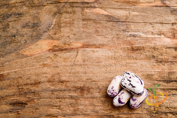 Bush Borlotti bean seeds from SeedsNow, showing healthy seed pods and beans ready for planting.