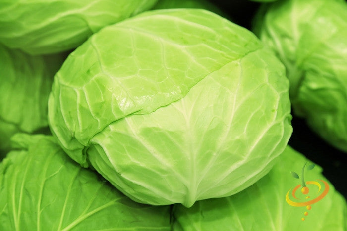 Golden Acre cabbage seeds from SeedsNow, showing vibrant green cabbage heads ready for planting.