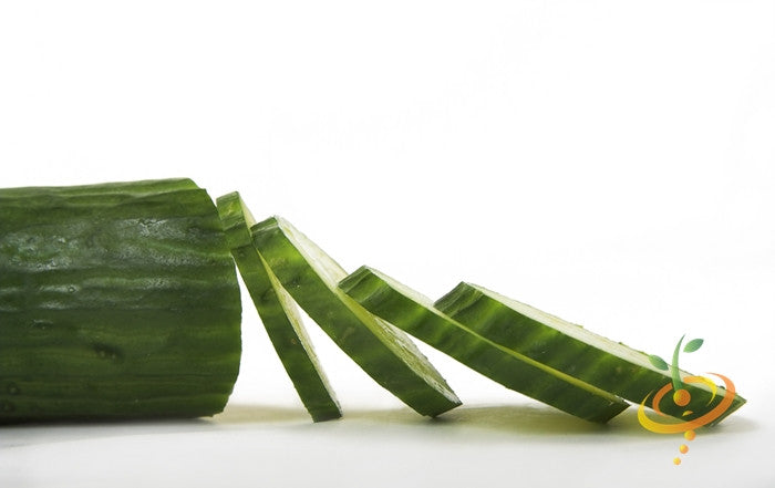 Sliced Tendergreen Burpless cucumber on white background