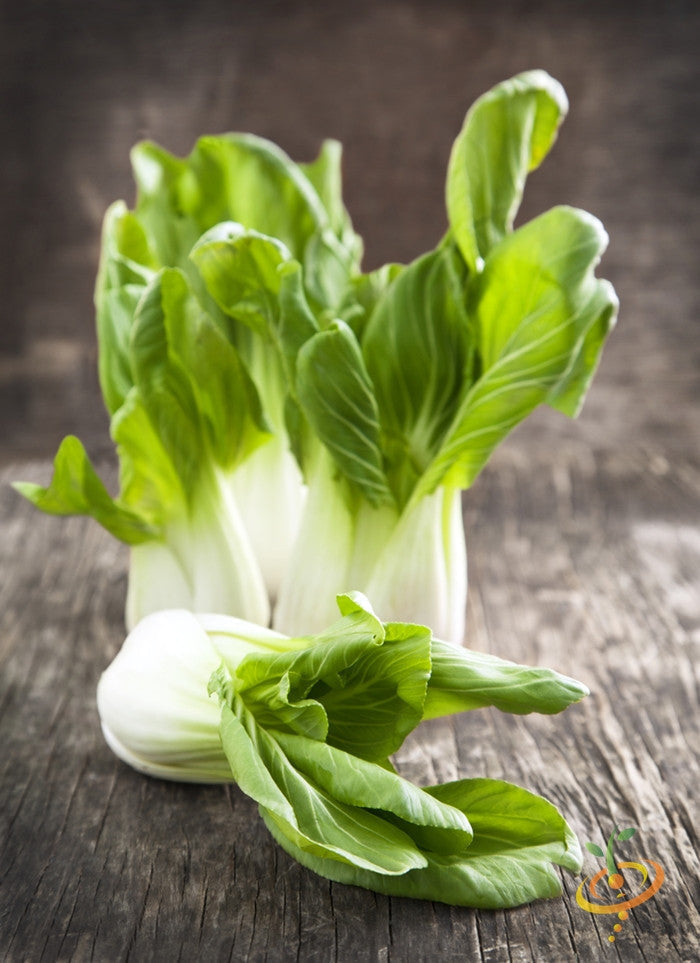 Bok choy Chinese cabbage seeds from SeedsNow, showing fresh green seed packets for growing Chinese Pak Choi.